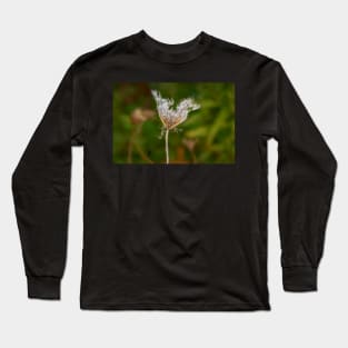 Withering Queen Annes Lace Long Sleeve T-Shirt